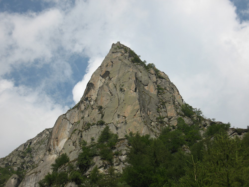 mroz01.jpg