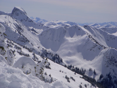 Montana+Bowl.jpg