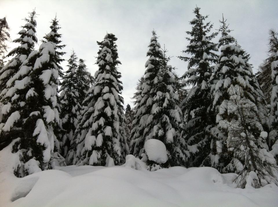 sno.jpg