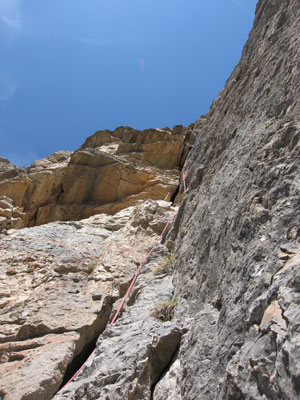 tete07.jpg