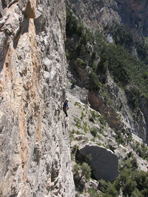 tete08.jpg