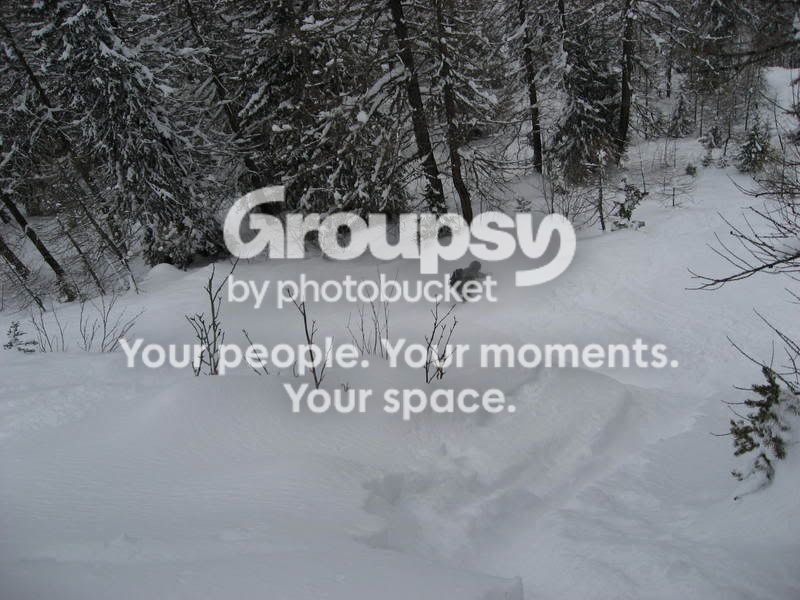 IMG_1053.jpg