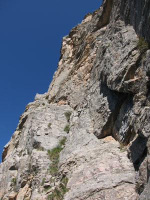 tete04.jpg