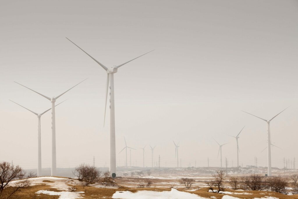 www.wwf.se