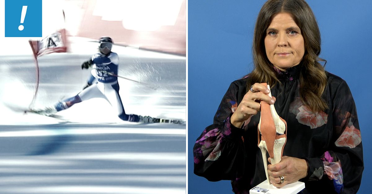www.svt.se