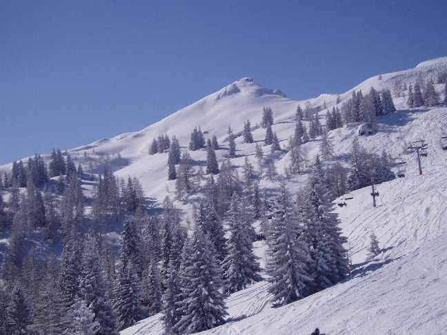 bergtop_flachau.jpg