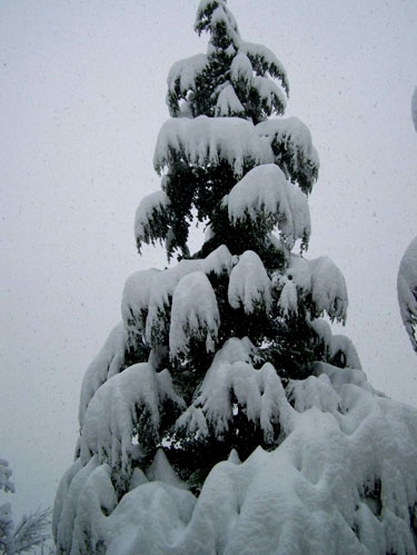 snoitalien.jpg