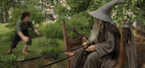froto-frodo.gif