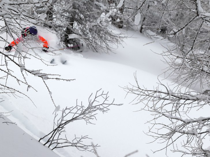 @mmalin. Photo: Jakob Sanne. Rider: Malin Karlsson.