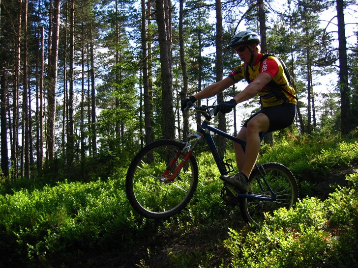 Ett litet men soft wheele drop. Photo: Tobbe "Bus" Aldén. Rider: Peter Withfeldt.