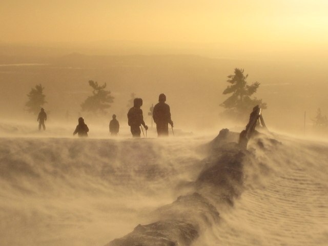 Photo: Martin Edrén.