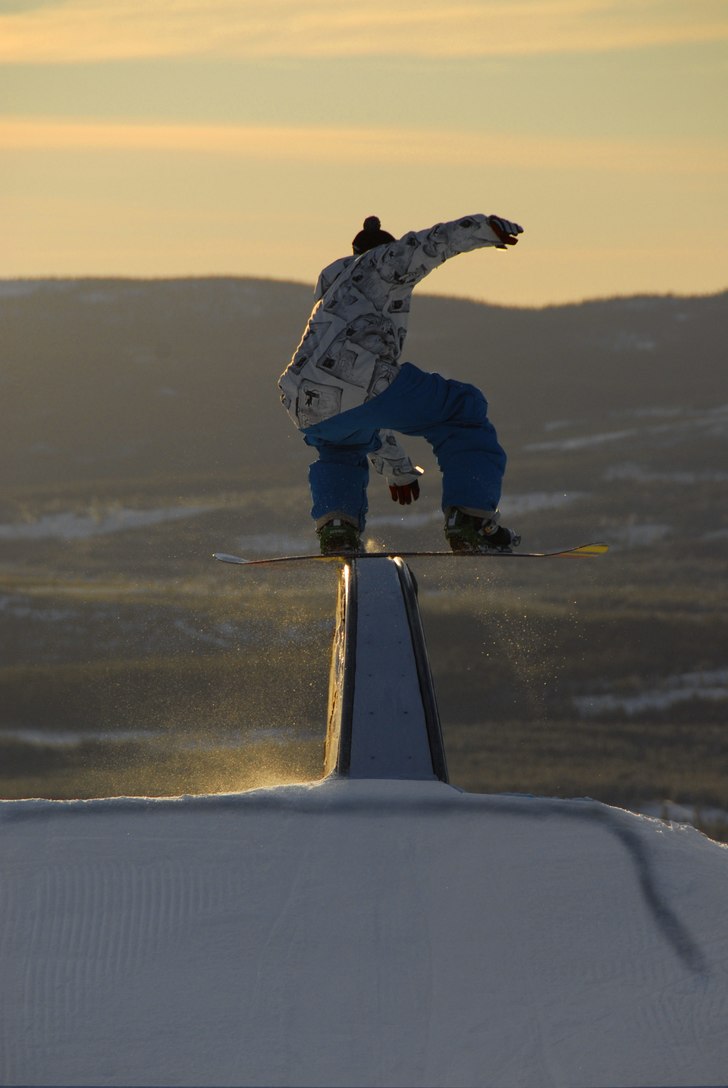 Rainbow. Photo: Erik Hammarsten. Rider: Jimpa Pettersson.