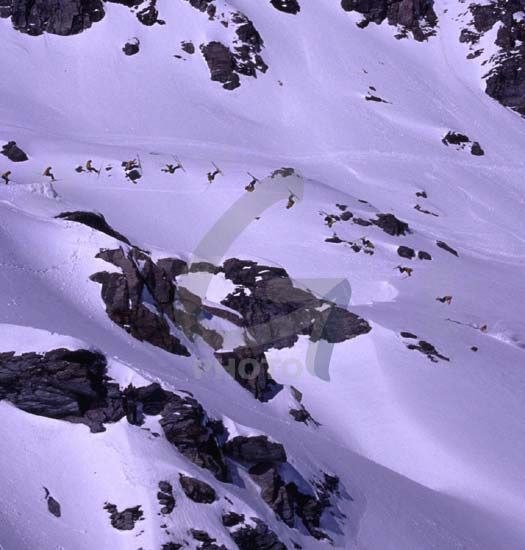 When the snow didn't come the jumps did!  Go . Photo: Yves Garneau. Rider: Jonas Delong.