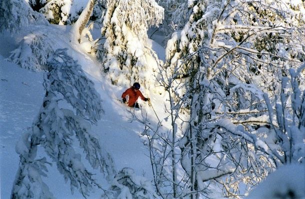 Photo: Pär Lindholm. Rider: Anders Persson.
