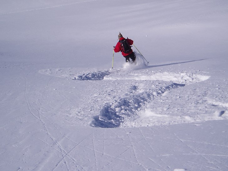 Bara så gött. Photo: christer nordell. Rider: Per Johannesson.
