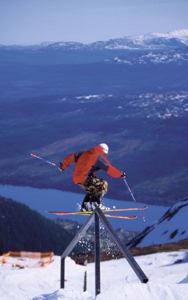 Photo: Endre Løvaas. Rider: Henrik Windstedt.