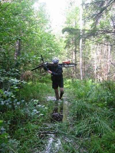 Photo: Tomas Boström. Rider: Christer Engman.