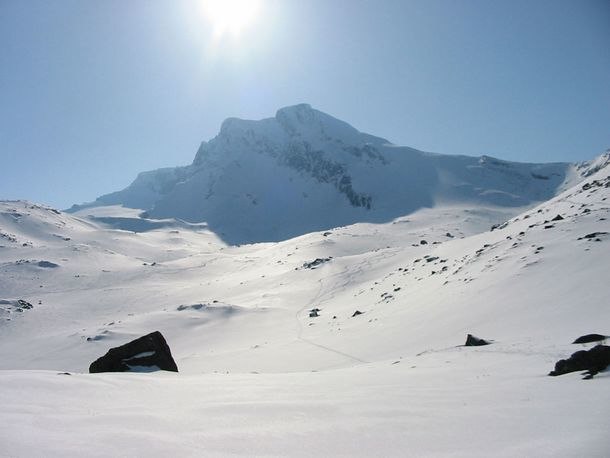 Photo: Ivan. Rider: Sovande Droningen.