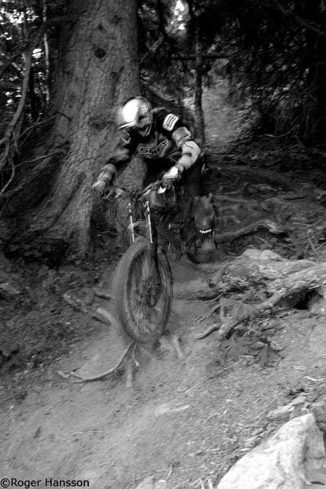 Photo: Roger Hansson. Rider: Robert Ryttse.