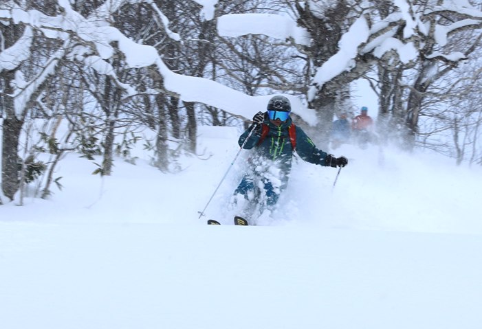 Puder i gles skog med Per Powder Paradise - kan ve.