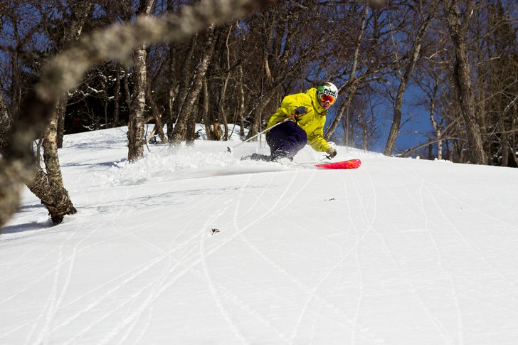 Photo: Eric Skytt. Rider: Mattias Wrede.