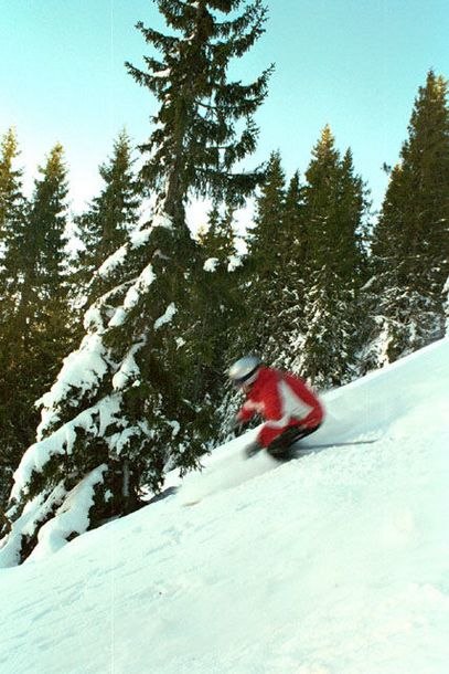 Photo: Kristian Helzel. Rider: Jens Sjöborg.