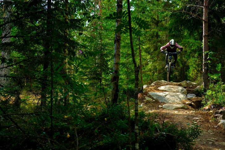 Photo: Emrik Jansson. Rider: Peter Nilsson.