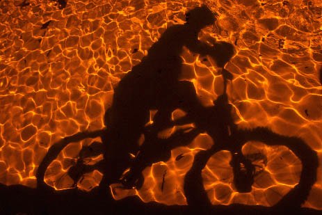 Photo: Therese Lundgren. Rider: Wade Murray.