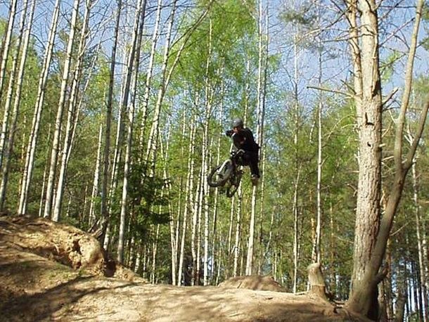 Photo: Erik Hammarström. Rider: Thomas Ekelund.