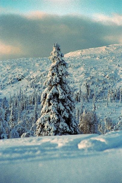 None. Photo: The Mike. Rider: Vemdalen.