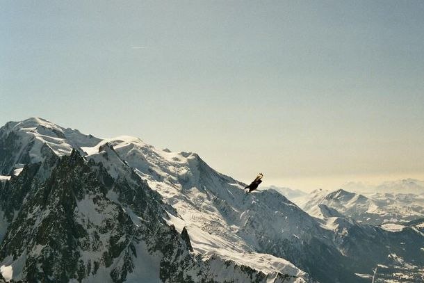 Photo: Peter Axelsson. Rider: Alpkaja.