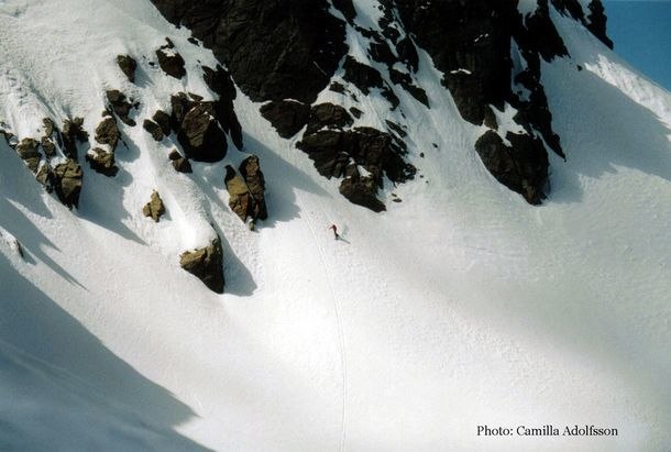 Photo: Camilla Adolfsson. Rider: Johan Engman.