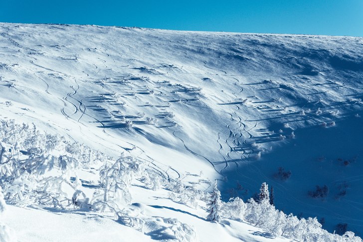 Öppen och fint sluttande terräng i ravinen i Vem. Photo: Axel Adolfsson.