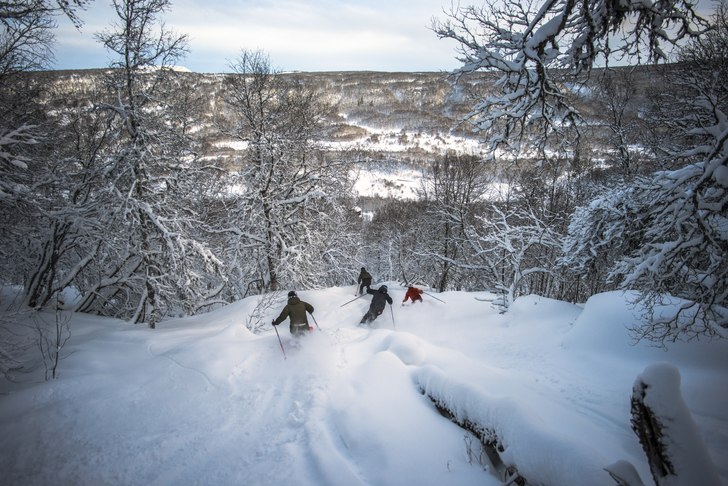 Missa inte det bästa, skogen i Osthang!. Photo: Rickard Bergstedt.