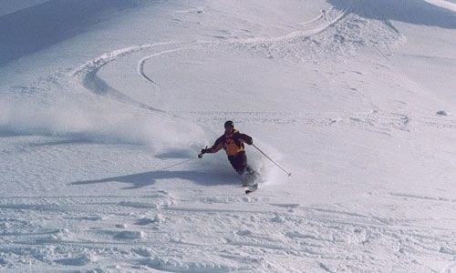 Photo: John Thorstenson. Rider: Anders Eriksson.