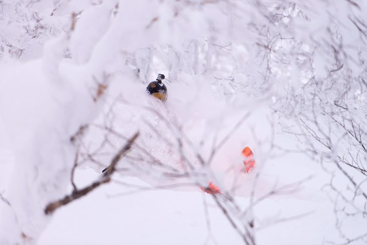 Photo: Stuart. Rider: Andreas Ericson.