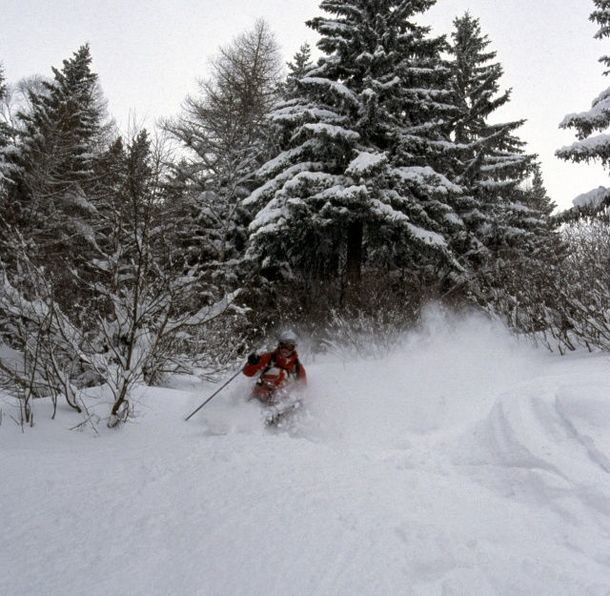 En otrolig vecka i Chamonix!
Massor av puder och . Photo: Claes Israelsson. Rider: Niklas Axelsson.