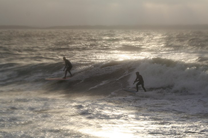 Inte droppa in aja baja. Photo: Sara Rönnberg. Rider: Erik Svedbäck till höger, tjuv till vänster.