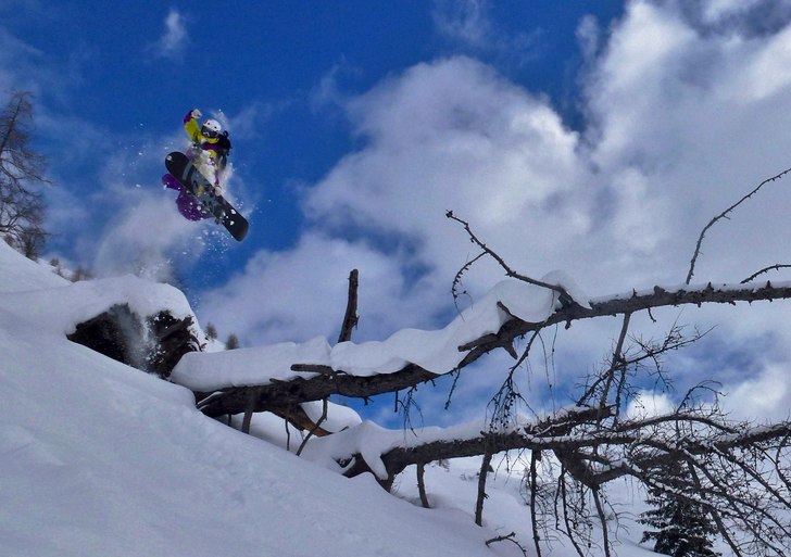 Photo: Nives Hollsten. Rider: Niklas Hollsten.