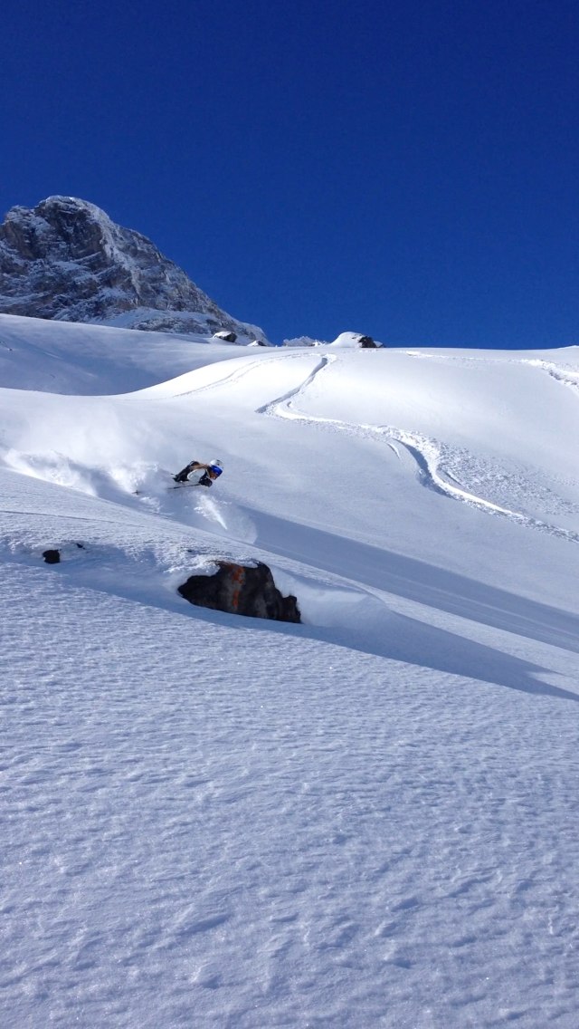 Rider: Tyra Ahlerup. Rider: Tyra Ahlerup.