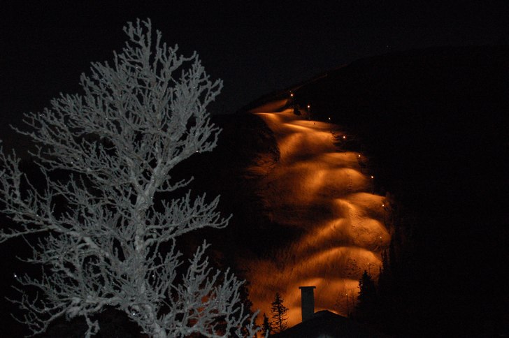Photo: johanna grundberg.