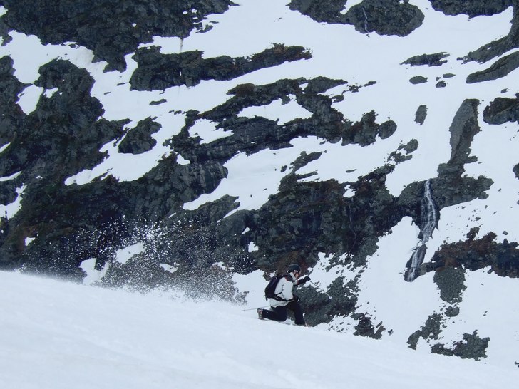 Photo: David Bergman. Rider: Henrik Johansson.