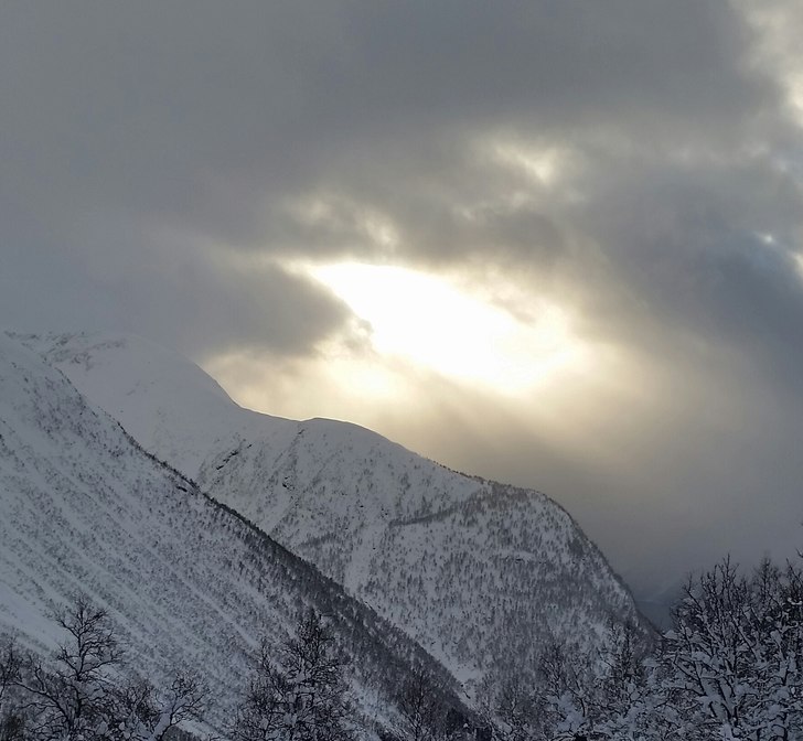 Sogndal v5 2016.