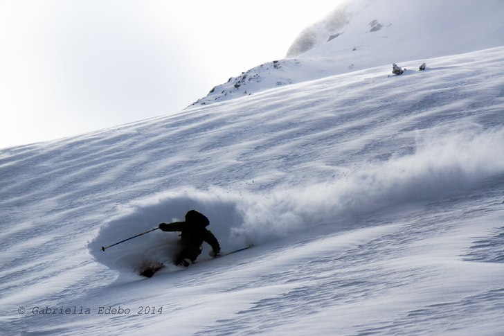 Photo: Gabriella Edebo. Rider: William Nilsson.