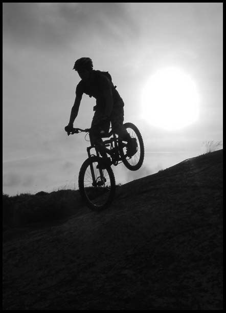Härlig motljusbild, i flatljus. 
Nosemanual ner . Photo: Anton Holm. Rider: Eric Westling.
