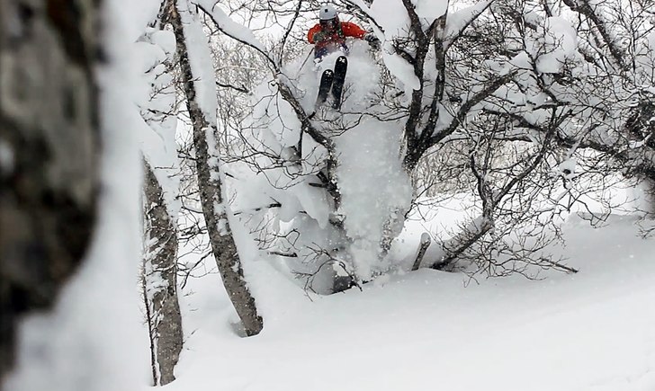 Köttar träd i Niseko!. Photo: Johan Almroth. Rider: Johan Sundström.