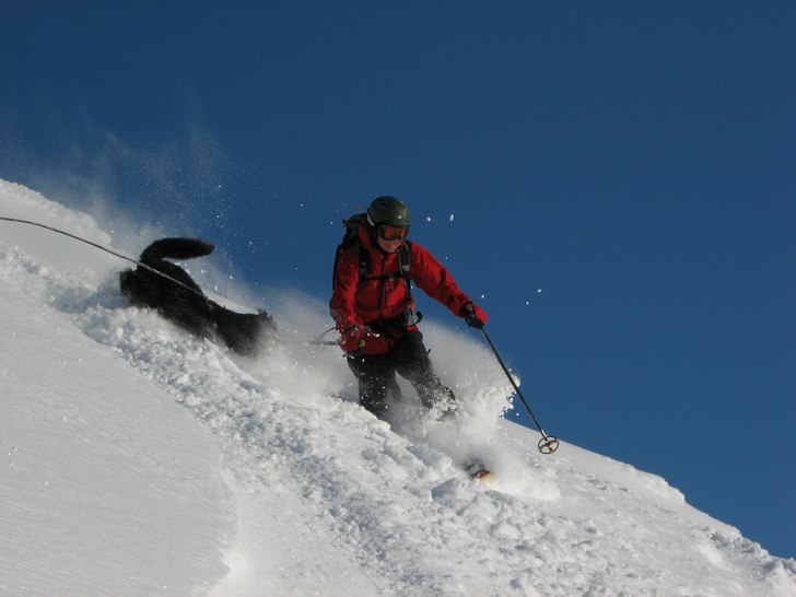 Photo: Roar Berg. Rider: Trine D.