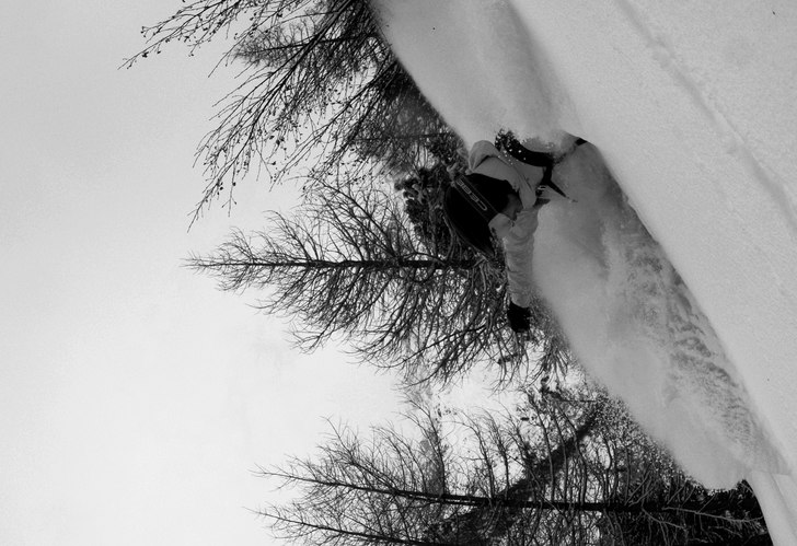 Rider: Jerry Bengtsson.