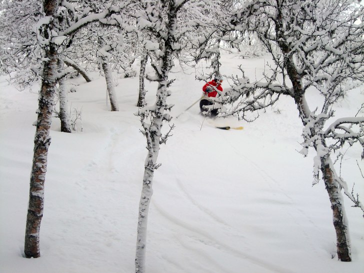 Leker lite i skogen, snön var rel. djup och trevl. Photo: Anna Ståhl. Rider: Carl Edin.