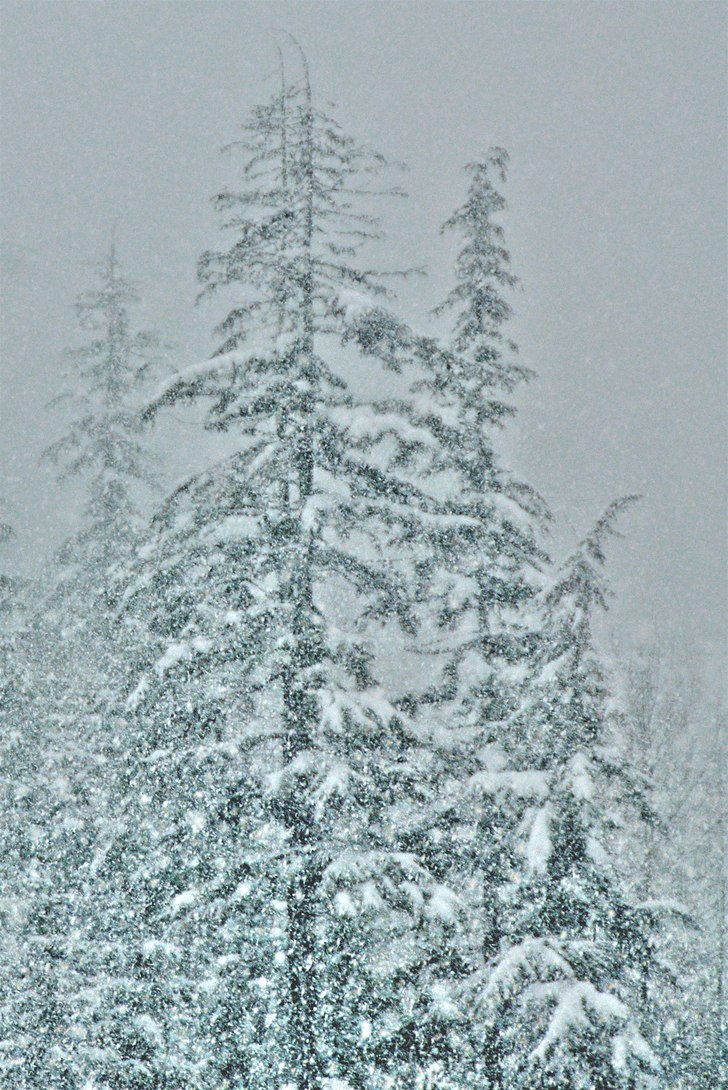 När de snöar i Whistler... då snöar de ordentl. Photo: Simon Pontér.